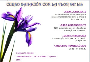 Curso Sanación Flor de Lis